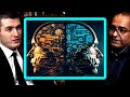 Reality Vs Imagination: How To Tell The Difference | Charan Ranganath And Lex Fridman