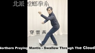 華藝精武 - 北螳螂拳系－穿雲燕 Northern Praying Mantis- Swallow through the Clouds/ Thrust Cloud Plam