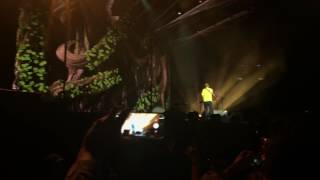 Ed Sheeran - Shape Of You (LIVE São Paulo - 28/5/2017-Divide Tour)