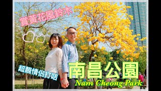 【香港好去處】春天。南昌公園Nam Cheong Park｜欣賞黃花風鈴木｜超靚情侶打卡位