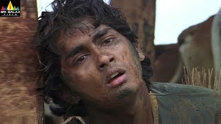 Nuvvostanante Nenoddantana Movie Scenes | Narsing Yadav Teasing Siddharth | Sri Balaji Video