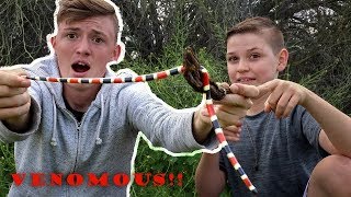 Catching VENOMOUS Snakes! | DO NOT TRY YOURSELF!!