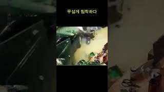 사고나도 가오있게 한가치