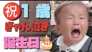 #youtube #1歳誕生日#1歳プレゼント🎁ボスは1歳になりました！ボスにあげたプレゼントを紹介します！