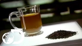 Tea | How It's Made