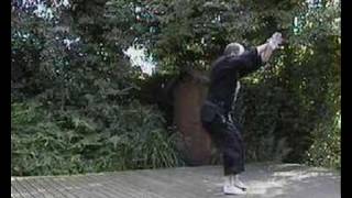 Ninjushio performed by Sensei Jon Masters