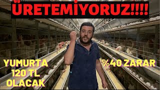 YAKINDA ÜRETİCİ KALMAYACAK!! YUMURTA ÜRETİCİLERİ TARİHİNİN EN ZOR GÜNLERİNİ YAŞIYOR.