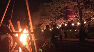 さいき春まつり 「夜桜と竹灯篭」