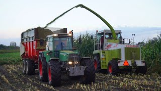 Mais 2024 | Claas Jaguar 695SL | Kneus en Co Wekerom | Case International | Fendt 311 | Mais silage