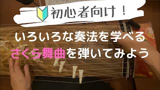 【箏曲】初心者向け！いろいろな奏法を学べるさくら舞曲を弾いてみよう