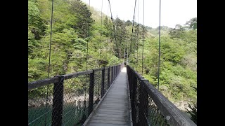 那須塩原にて（殺生石、源三窟、逆杉、回顧の吊り橋、もみじ谷大吊り橋） (Various viewspots in Nasu-Siobara, some of which are scary)