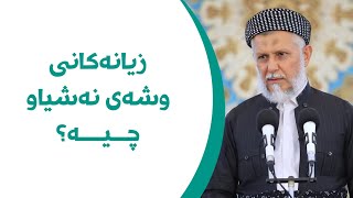 زیانەکانی وشەی نەشیاو چیە؟ 24-1