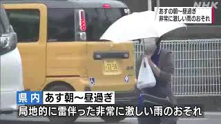 30日 非常に激しい雨のおそれ｜06月29日 高知県のニュース