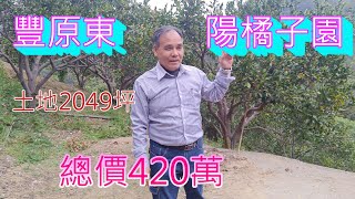 (276)  售420萬，每坪0.2萬， 豐原東陽橘子園，8米路邊，土地2049.80坪，有水，有電   (276)