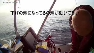 コノシロ飲ませ釣り1月2８日