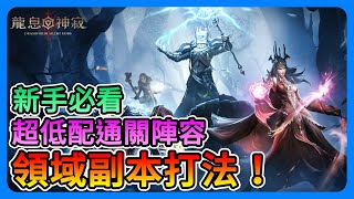 《Dragonheir：龍息神寂》新手必看！領域副本打法！熾焰領域、冰霜領域、風暴領域，超低配陣容、易入手角色推薦！