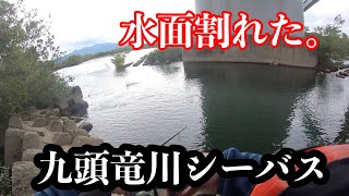 【九頭竜川】九頭竜川シーバスを釣りたくて寄り道釣行！！エントリーが難しい…。【シーバス】【トップ】