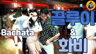 오엘tv] [4K] 2023.03.11 대구 바바루 Spring party | 끌루이 \u0026 화비 바차타 Bachata