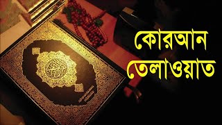 মনোমুগ্ধকর সুরে পবিত্র কোরআন থেকে তিলাওয়াত ২০২১। Best quran tilawat in the world 2021