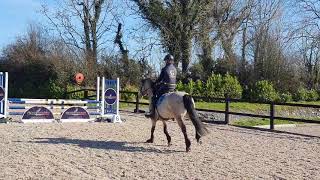 138 Connemara jumping pony in Ireland 🇮🇪