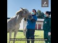 Conoce el Hospital Clínico Veterinario Vilcún