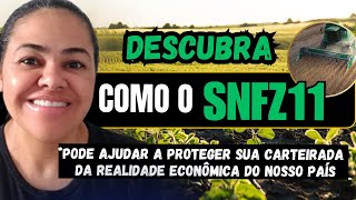 COMO O SNFZ11 PODE FAZER PARTE DA SUA ESTRATÉGIA DE INVESTIMENTO? #diaristainvestidora #investimento