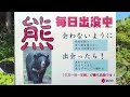 【北村林道】舗装＆ダートオフロード林道 栃木県鹿沼市 途中で引き返しました！ダートの支線がいつくかある林道 riding on adv150