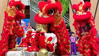 2025 Drunken Lion Dance at Lalaport, Kuala Lumpur 醉狮