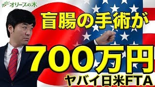 日米FTA、TPP、日米貿易協定、がヤバイ。国民皆保険制度の崩壊、盲腸の手術、ISD条項、為替条項。