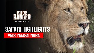 Safari Highlights #513: 05th December 2018 | Maasai Mara/Zebra Plains | Latest #Wildlife Sightings