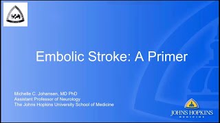 Embolic Stroke: A Primer | Dr. Michelle Johansen