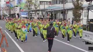 第21回よさこい東海道(2017/11/12)「遠州鳴子浪漫(遠州舞人)」