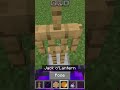 Minecraft tiktok hack #minecraft #gaming #youtubeshorts