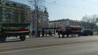 Debrecen, Petőfi tér. 2024.03.15. Full HD-video