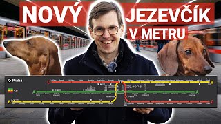 Nový jezevčík v metru – povedený design, nebo průšvih?