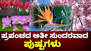 ವಿಶ್ವದ ಅತೀ ಸುಂದರವಾದ ಹೂವುಗಳು | World Most Beautiful Flowers | Flowers