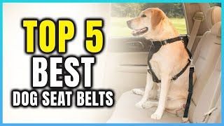 Top 5 Best Dog Seat Belts | Extreme Reviewer