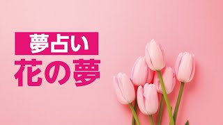 【夢占い】花の夢