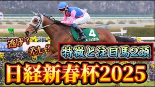 【日経新春杯2025】レース解説＆注目馬分析！中京2200mの攻略ポイントとは？