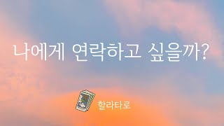 [할라타로] 상대방은 어떻게 지낼까 / 나에게 연락하고 싶을까? / 연락해올까?