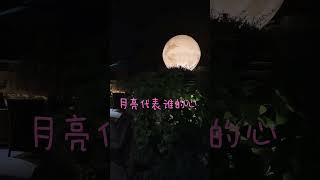 月光所至 万事胜意❤️🥮🌝 #中秋团圆 #琵琶与吉他 #琵琶珏儿