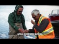 le parc national des monts torngat terre inuit