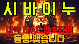 [시바이누] 미국 아랍 암호화폐 동맹 간다 #시바이누코인 #shib