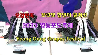 2023 영동 포도축제 늦여름축제와 보랏빛포도 농장에서 포도 따기 체험과 한천팔경의 1경까지＃영동월류봉 ＃영동포도축제 ＃영동와인터널 ＃영동포도