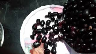 Jamun fruit #NaavalPazham  #Nagapazham #jamunfruit