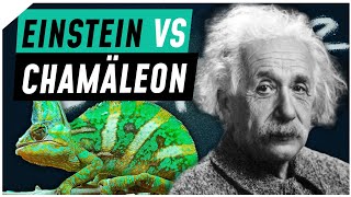 Alternative zu Einsteins Relativitätstheorie entdeckt! | Breaking Lab