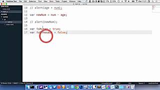 Boolean Datatypes In Javascript