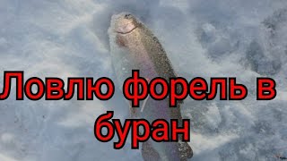 Рыбалка близ Алматы. Ловлю форель в буран.