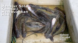 Menajur Dapat Ikan Tapah Musim Air Besar,Catch and Sell [Eps 201]