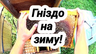 Як зібрати гніздо бджіл на зиму?